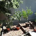 Setany Apartmanhaz Apartment Fonyod