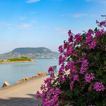 Setany Apartmanhaz Апартаменты Фоньод