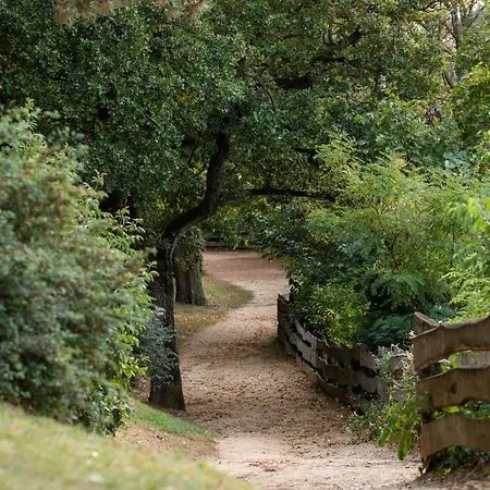 Lägenhet Setany Apartmanhaz Fonyód