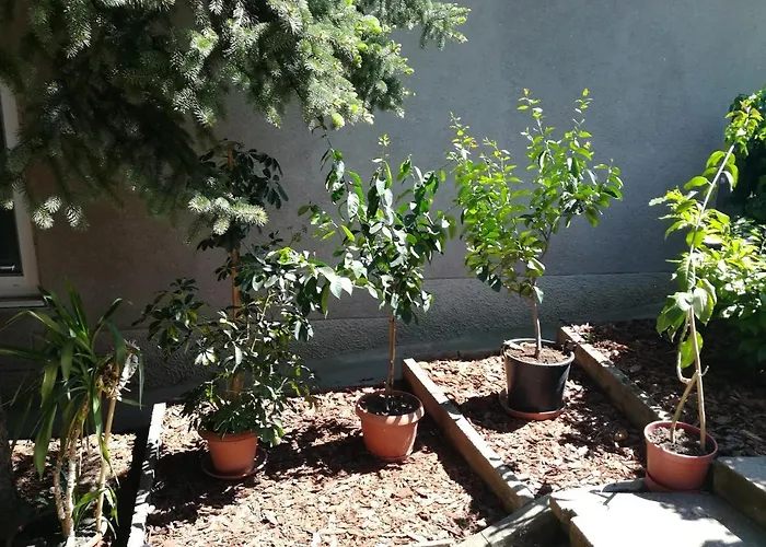 Setany Apartmanhaz Apartment Fonyod
