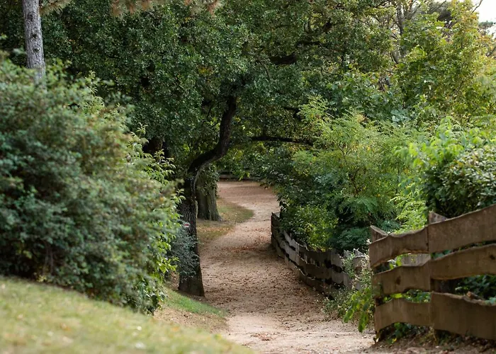 Apartmán Setany Apartmanhaz Fonyód